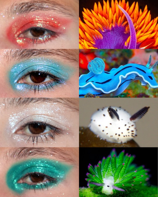 The Nudibranchs Eyeshadow Palette